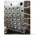 20-cavity milk cap mould